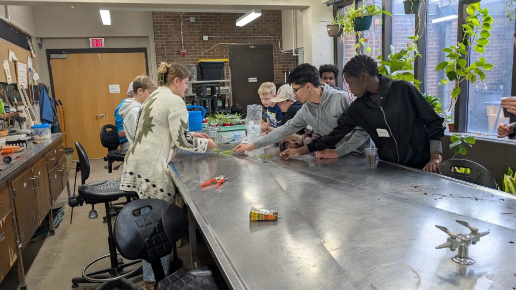 Students propagating plants at MSU