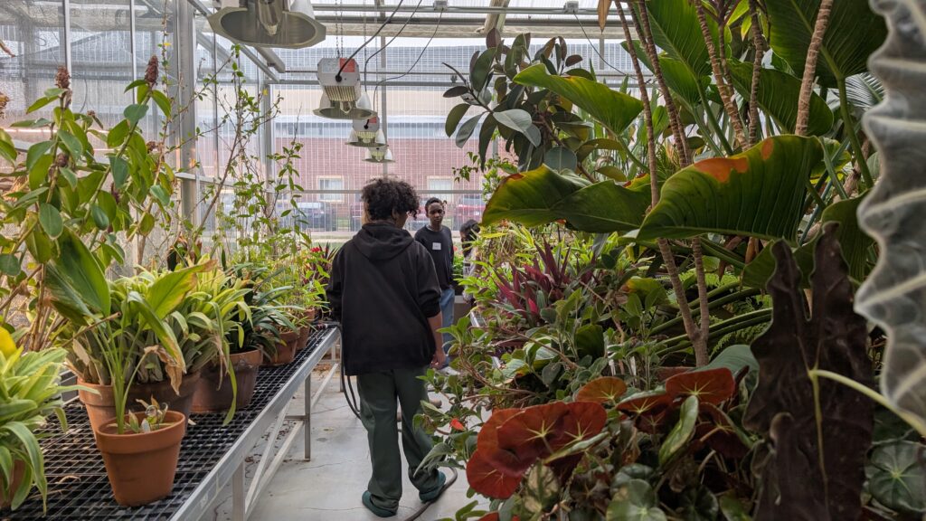 Students walking through MSU greehouse.